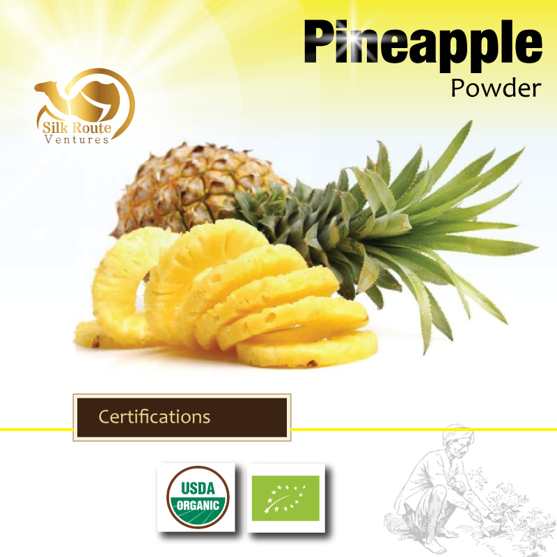 Organic Pineapple Powder Premium Fruit Powder in Bulk for Europe