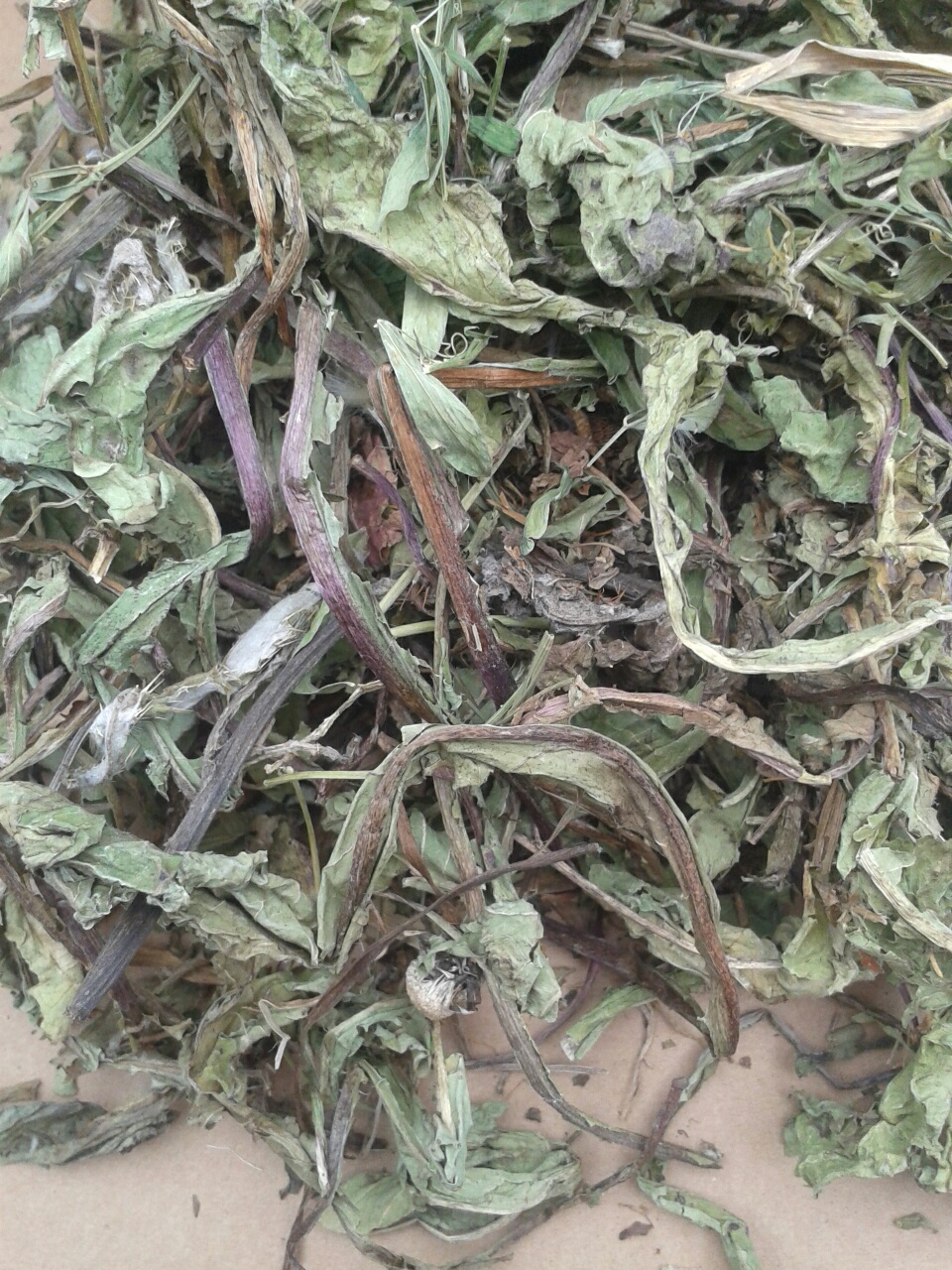 organic dandelion leaves dried Ekowarehouse