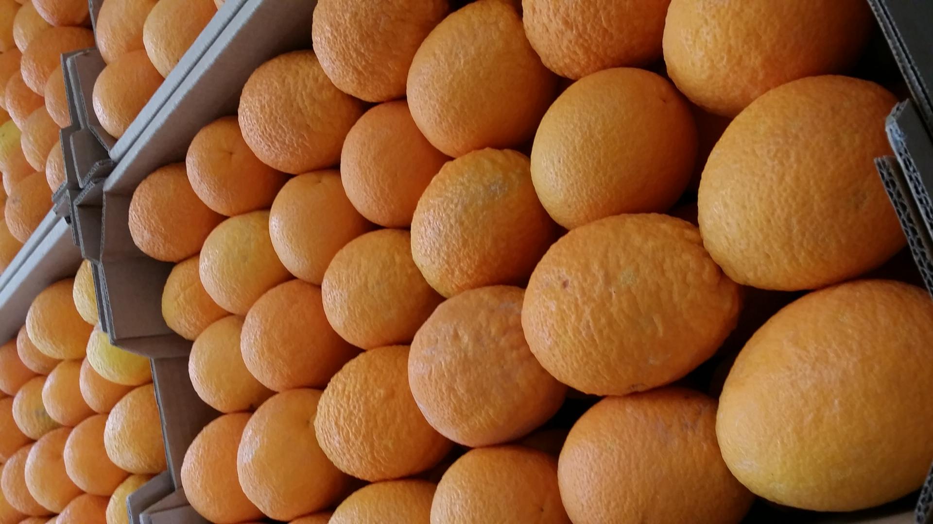 Organic JaffaOranges, from biocyclicvegan cultivation Ekowarehouse