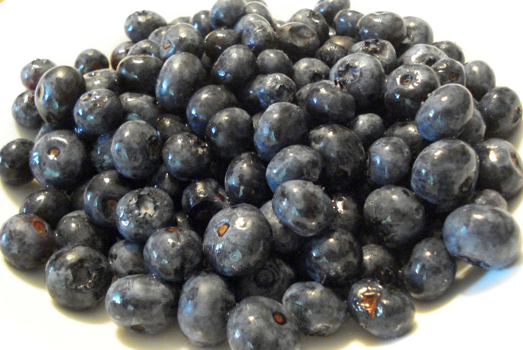 Organic Blueberries Ekowarehouse
