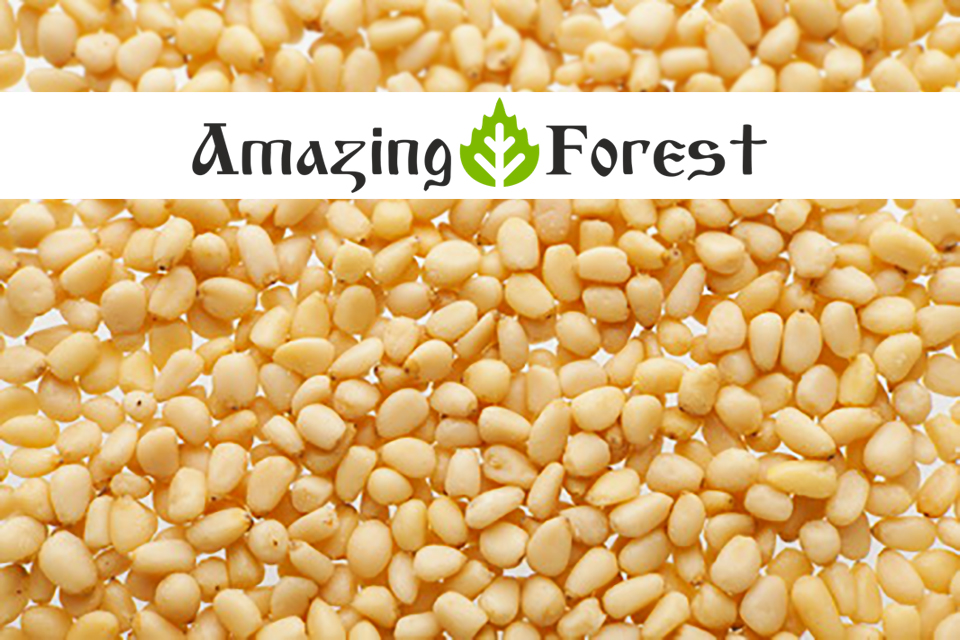 Organic Pine Nuts Kernels Ekowarehouse