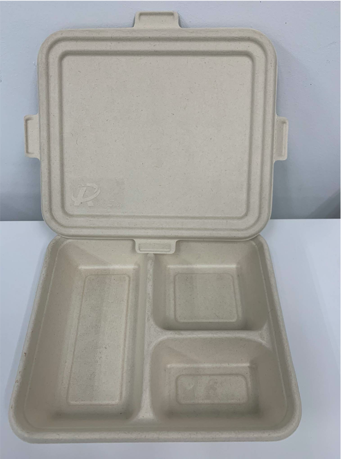 Bagasse Compostable Bento Box 3 Compartment Deep Tray (220 x 190 x