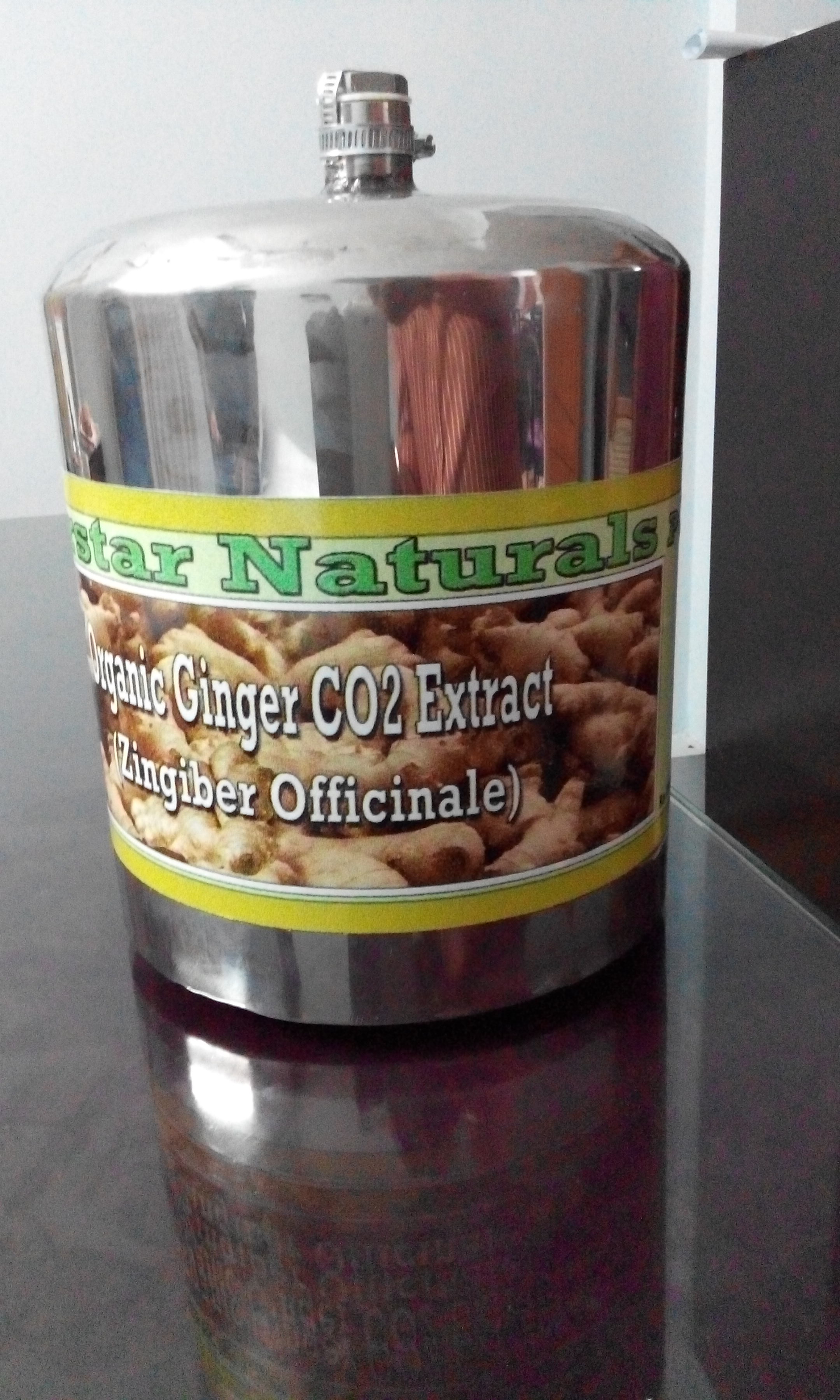 Ginger Extract ( Essential Oil/Oleoresin/Total Extract) Ekowarehouse