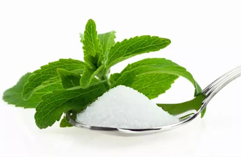 USDA Certified Organic Stevia Leaf Extract Powder Non GMO Ekowarehouse