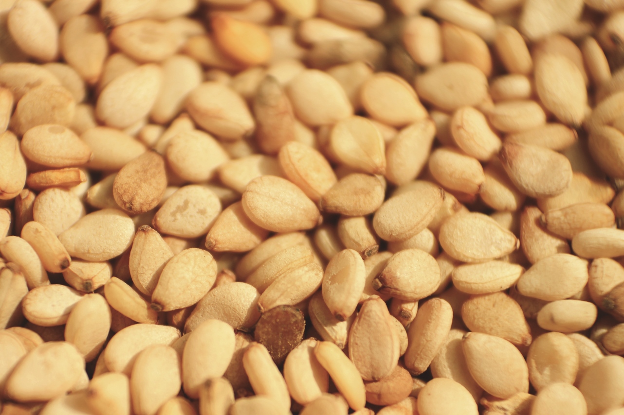 Organic Sesame Seed Ekowarehouse