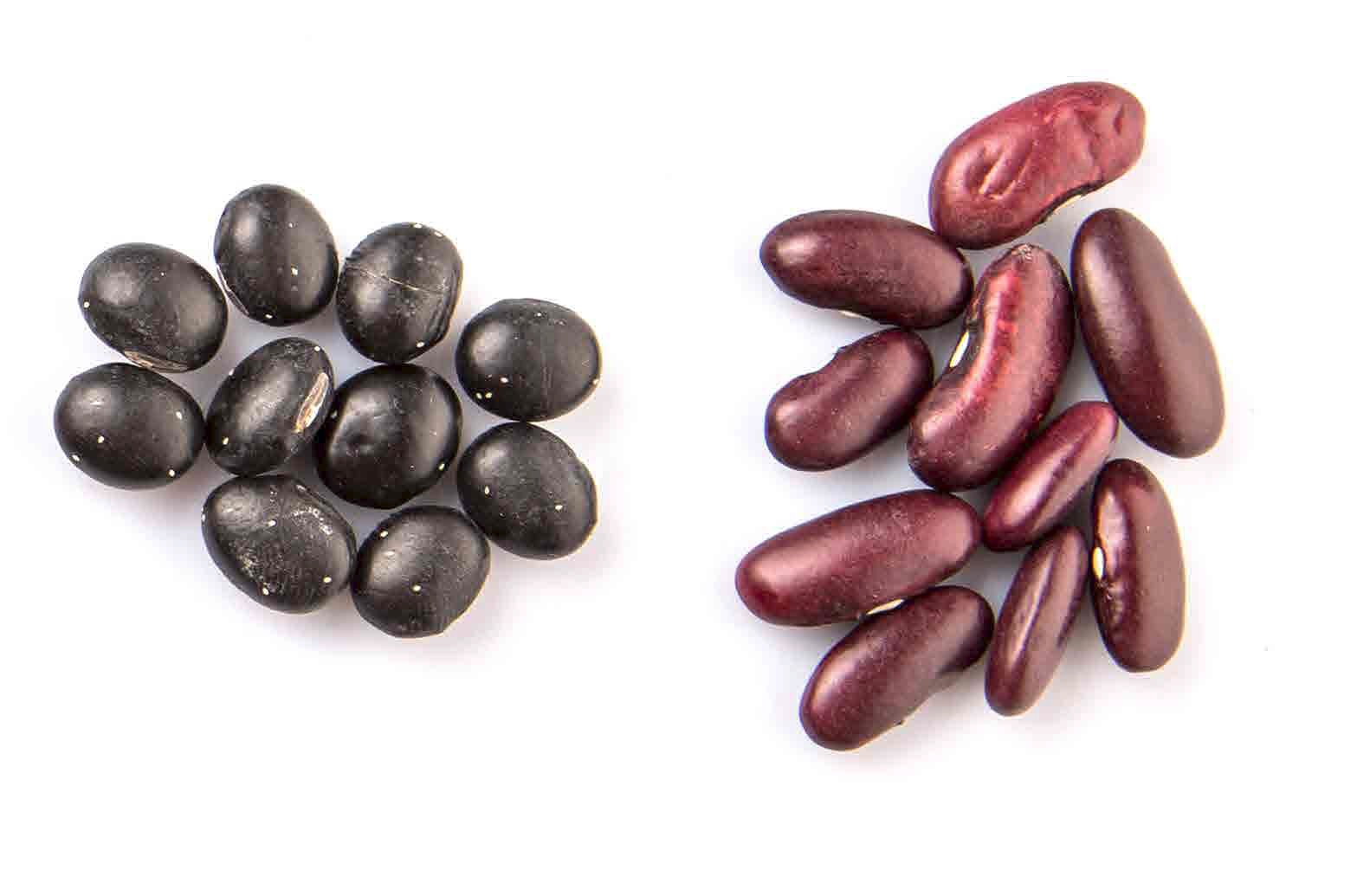 BLACK TURTLE BEANS Ekowarehouse