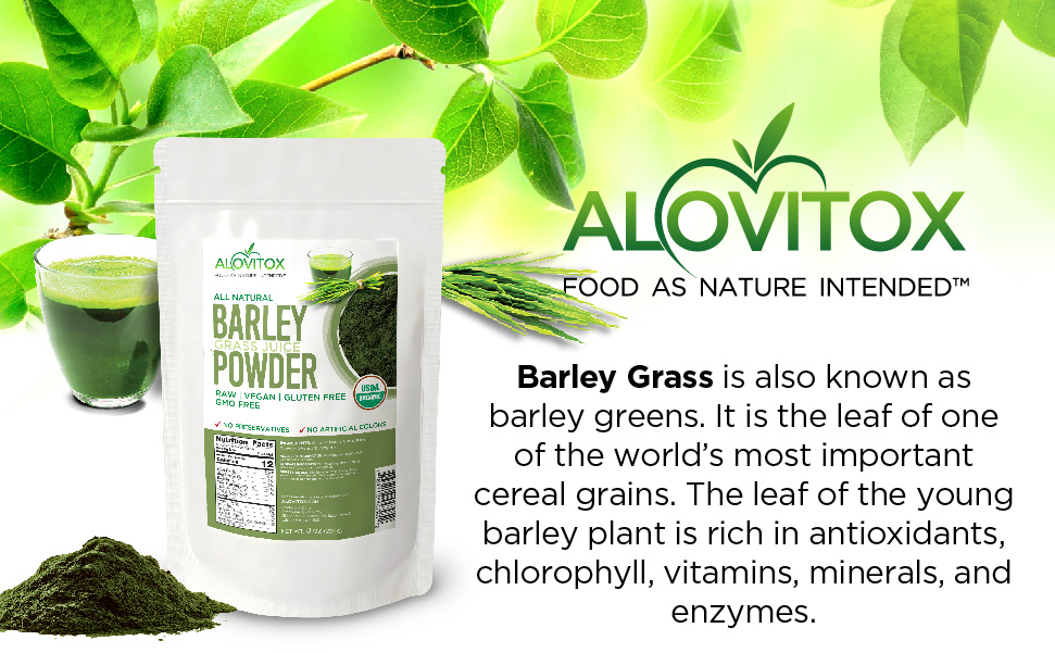 Barley Grass Juice Powder Ekowarehouse