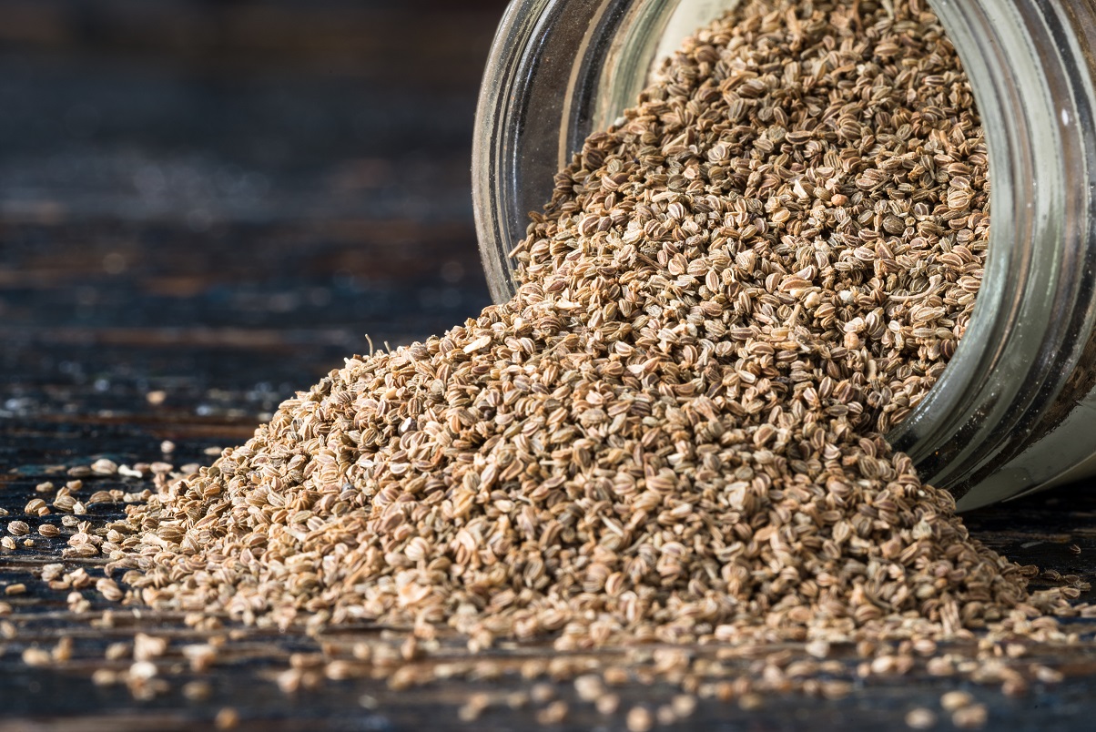 Celery Seed Oil Organic Ekowarehouse