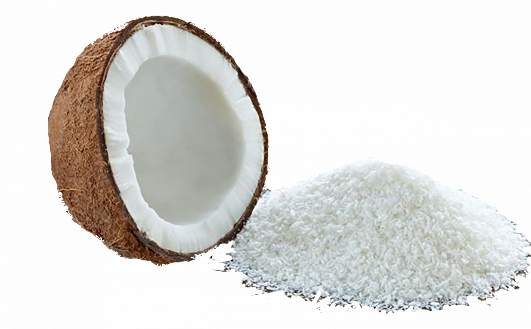 Organic Premium Desiccated Coconut in Bulk Ekowarehouse