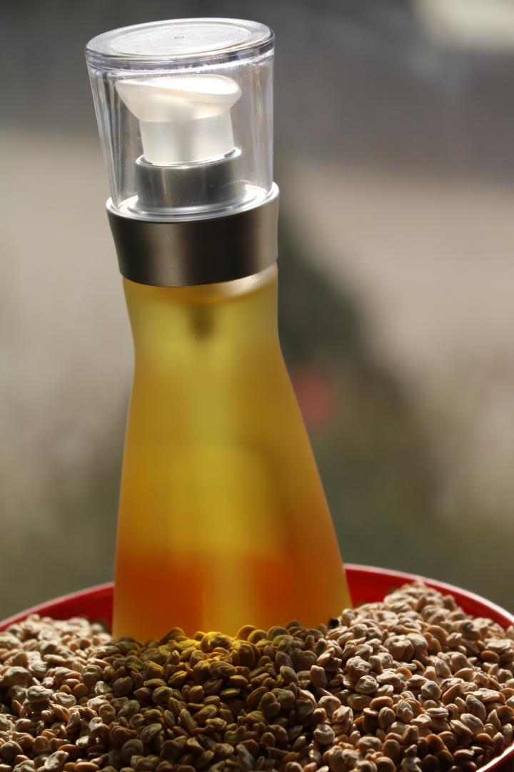 Cactus seed oil Ekowarehouse