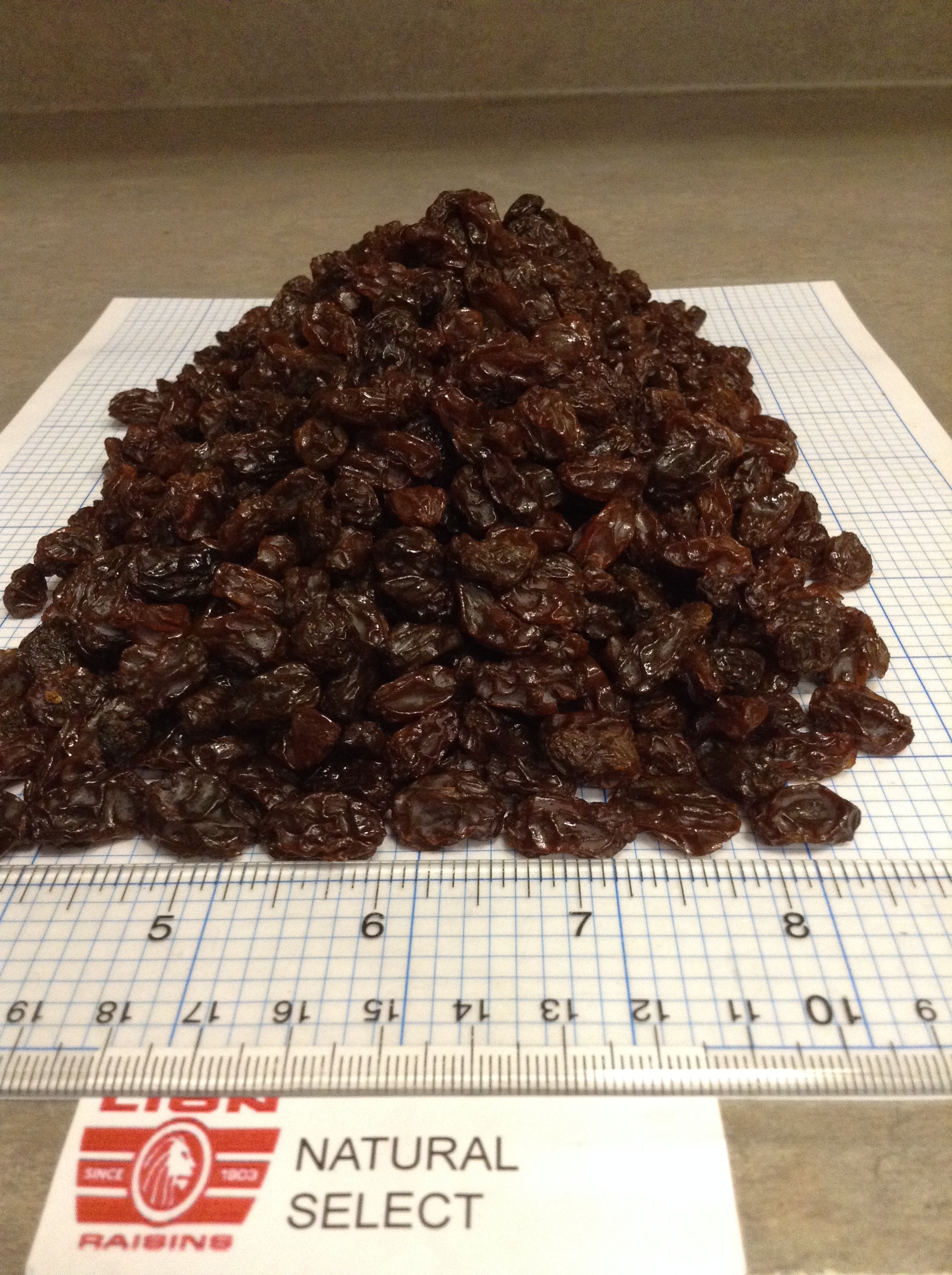 Lion Oiled Organic Raisins Ekowarehouse