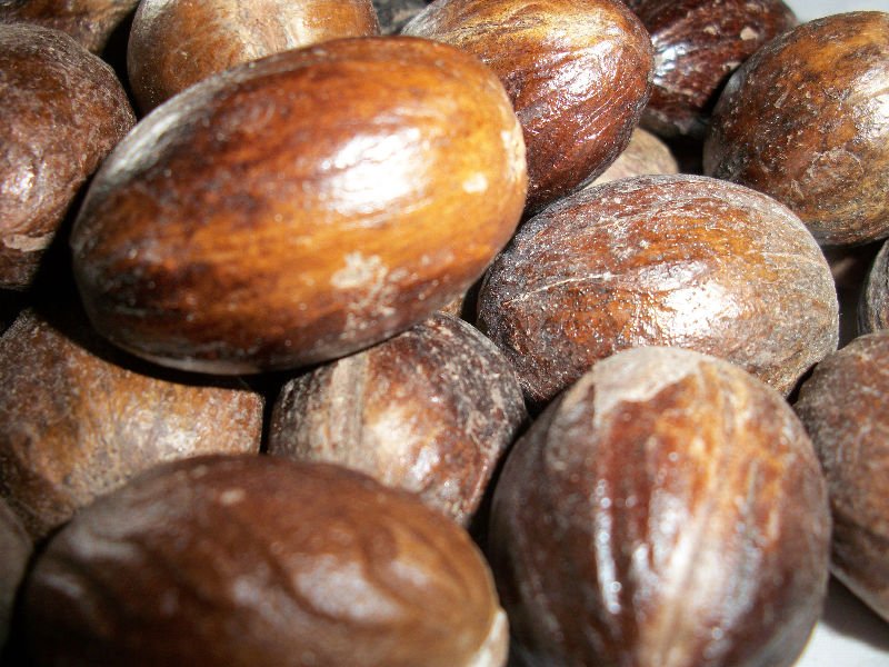 Premium quality Organic Nutmeg (with Shell) from Sri Lanka Ekowarehouse