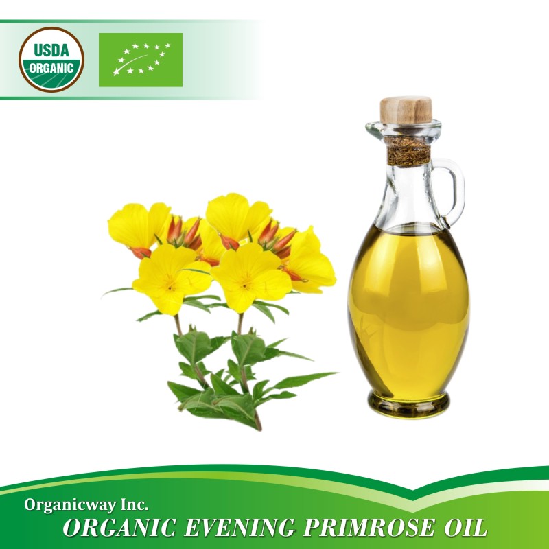 ORGANIC EVENING PRIMROSE OIL Ekowarehouse