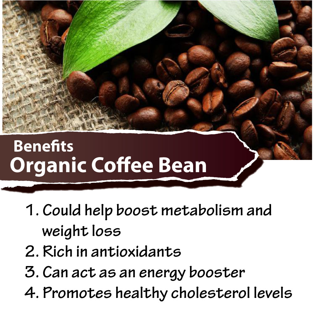 Wholesale Green Coffee Beans Australia / Buy Freshly Roasted