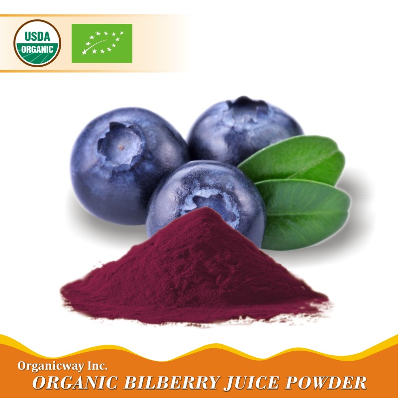 Organic Bilberry juice powder Ekowarehouse
