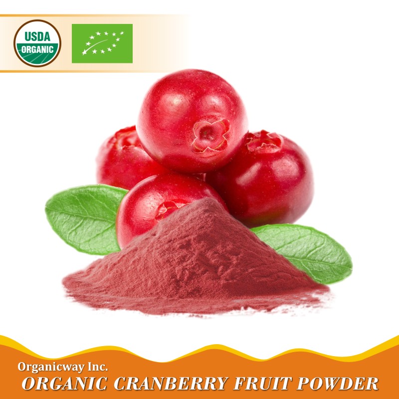 Organic Cranberry Fruit Powder Ekowarehouse