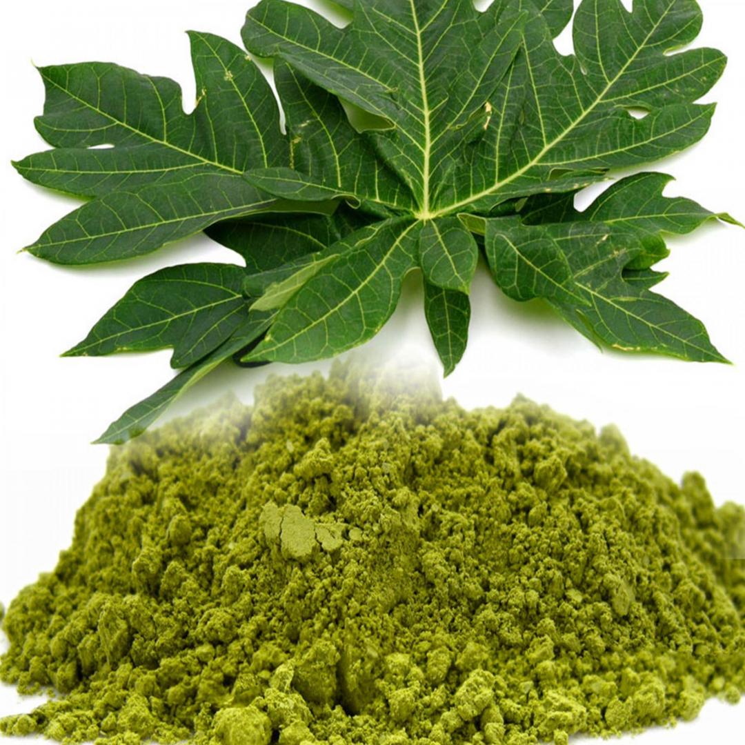 Organic Papaya Leaf Powder Capsules in Bulk for Wholesale Price from