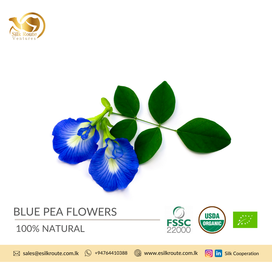 Premium Quality Fresh Blue / Butterfly Pea Flowers in Bulk Ekowarehouse
