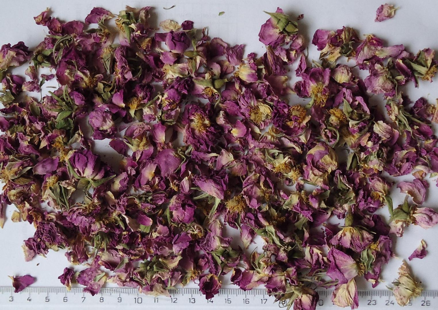 Rose Damask organic dry flowers and buds Ekowarehouse