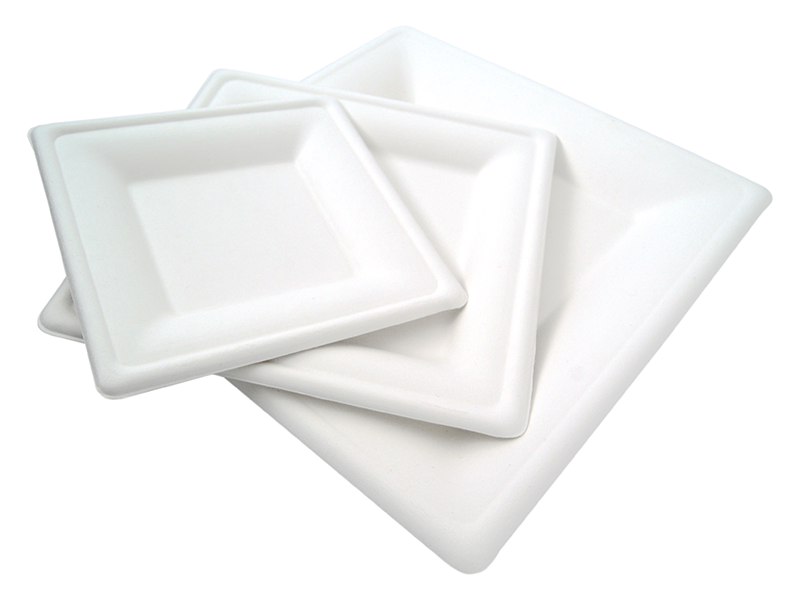 Bagasse tableware Ekowarehouse