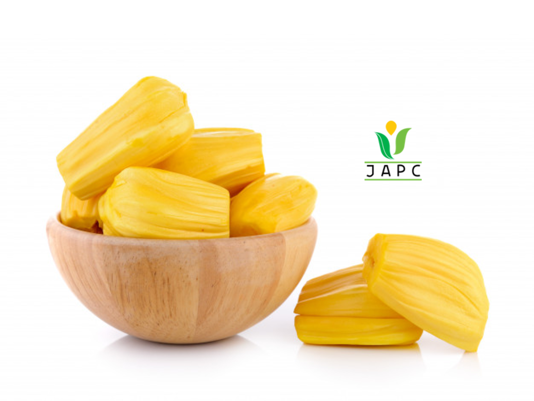Organic Dehydrated Jackfruit Ekowarehouse