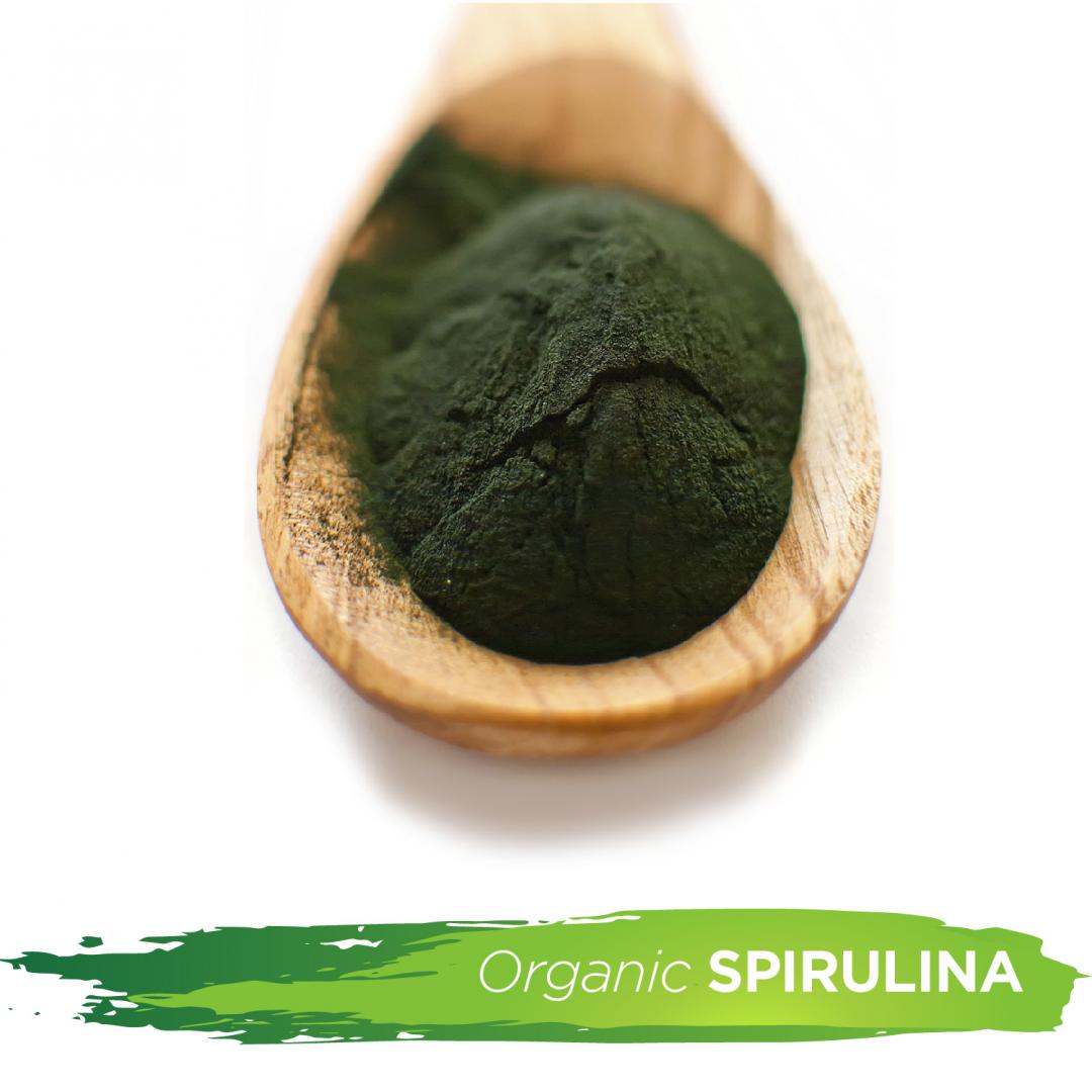 Spirulina Powder Ekowarehouse