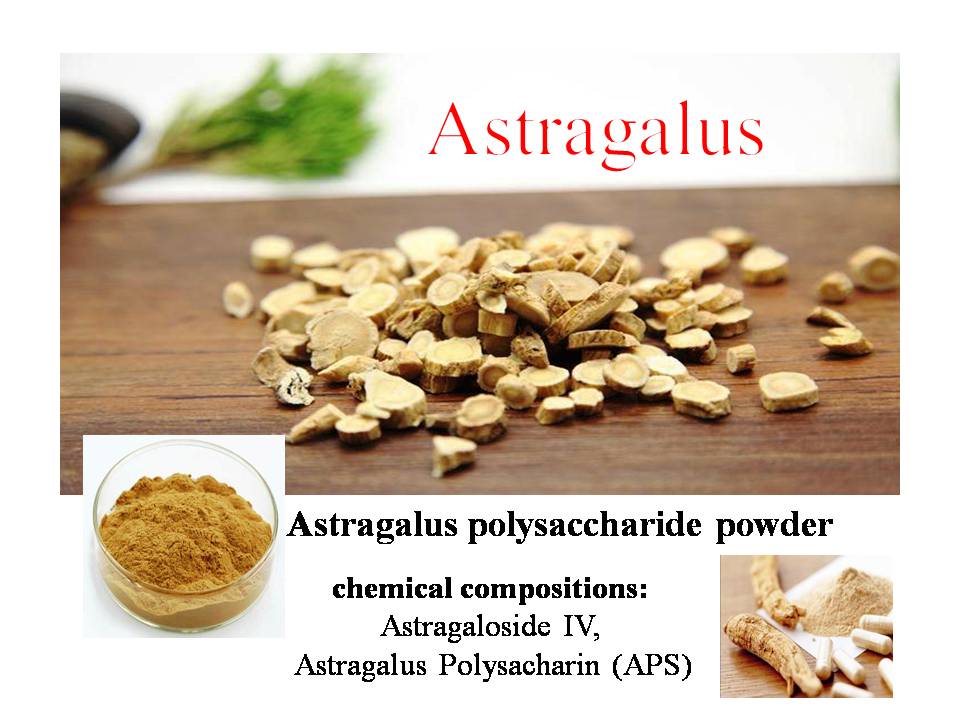 organic Astragalus root slices & powder Ekowarehouse