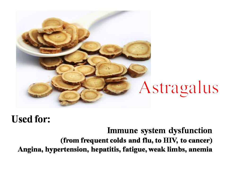 organic Astragalus root slices & powder Ekowarehouse