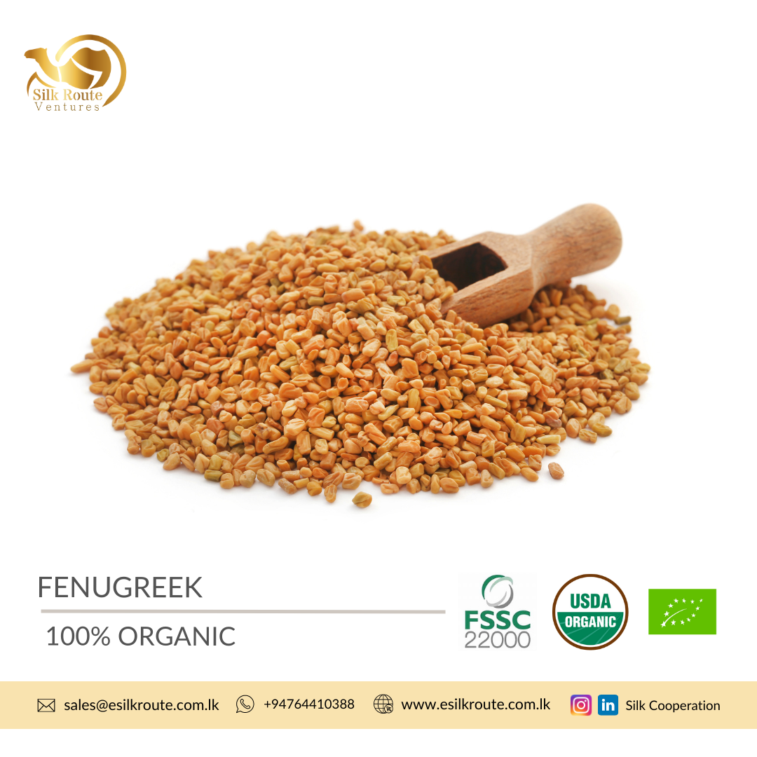 Premium Quality Fenugreek Seeds from Sri Lanka Ekowarehouse