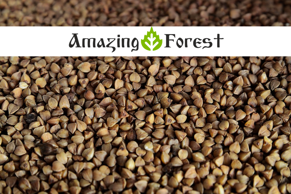 Organic Roasted Buckwheat Groats Ekowarehouse