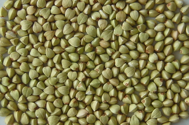 Organic Buckwheat Groats, Kernels Ekowarehouse