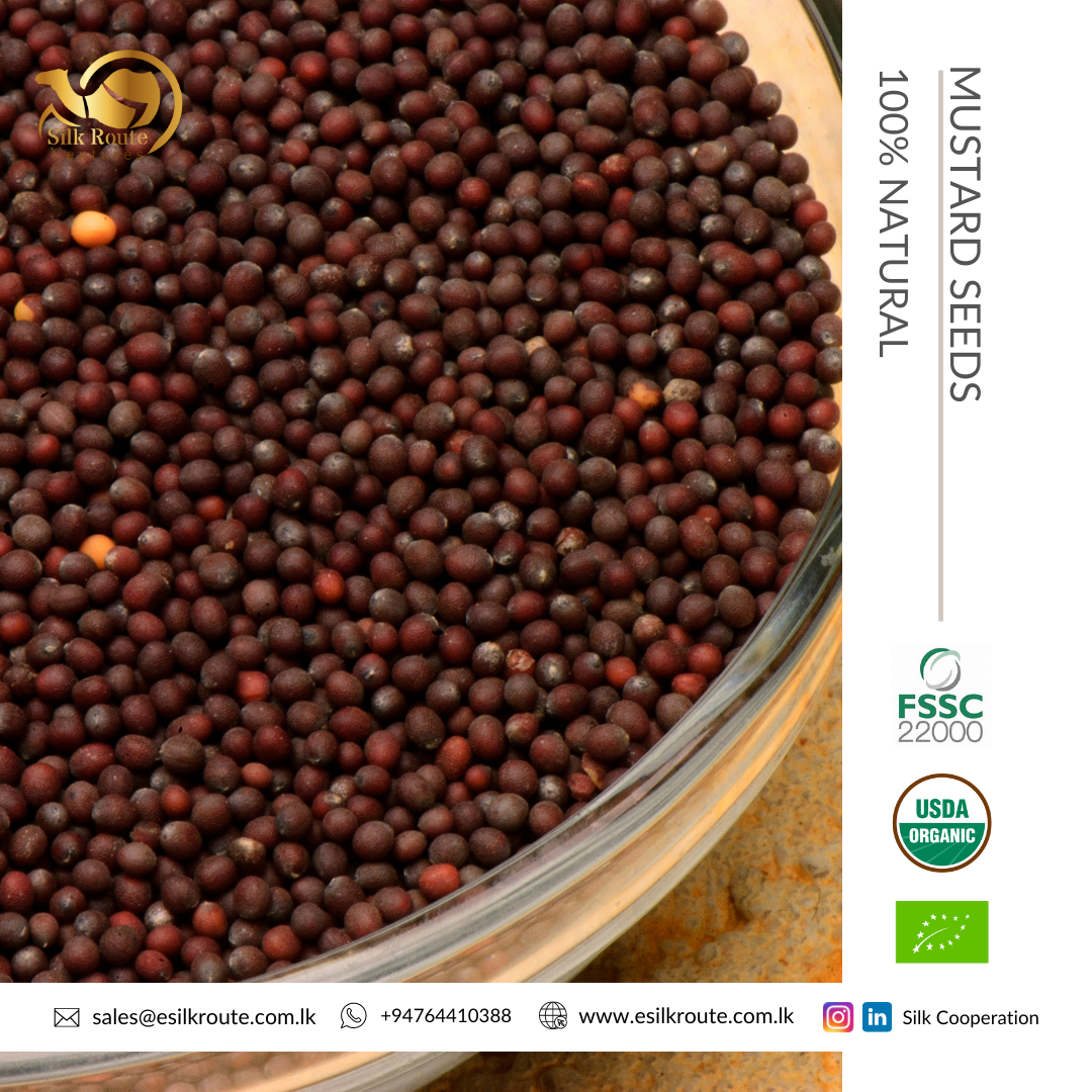 Organic Mustard Seeds from Sri Lanka Ekowarehouse