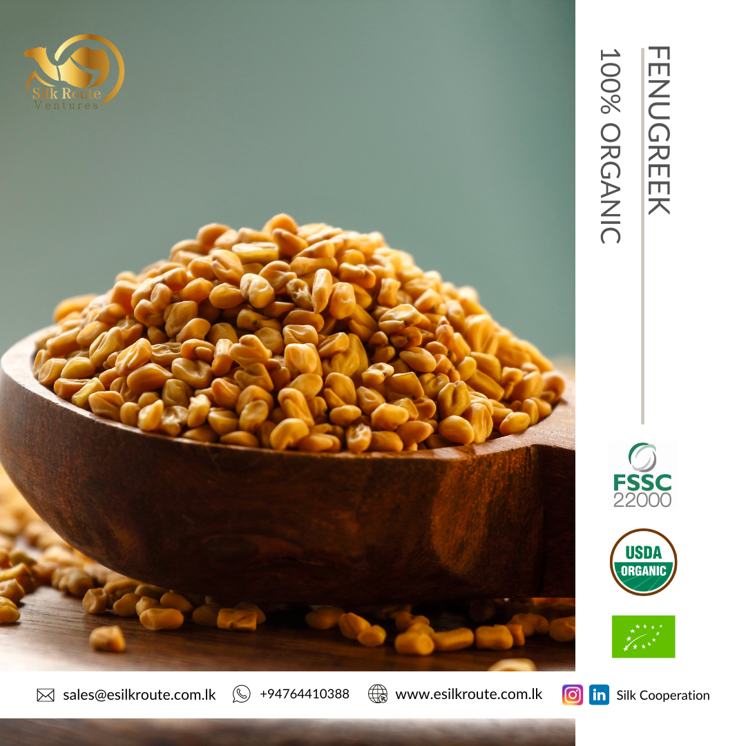 Premium Quality Fenugreek Seeds from Sri Lanka Ekowarehouse