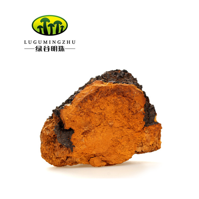 Premium 900g Organic Chaga Mushroom Powder - Inonotus Obliquus Health Supplement main image 1