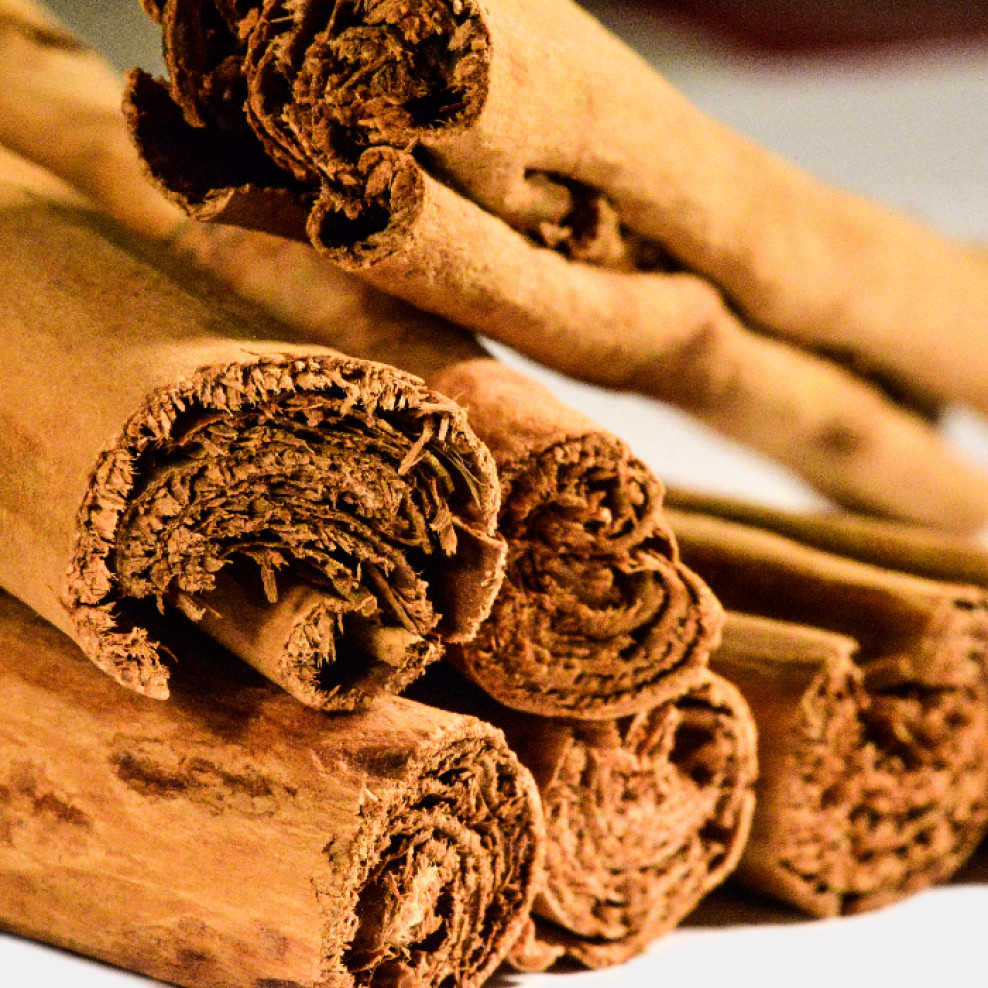 Premium Quality Organic Ceylon Cinnamon Sticks from Sri Lanka