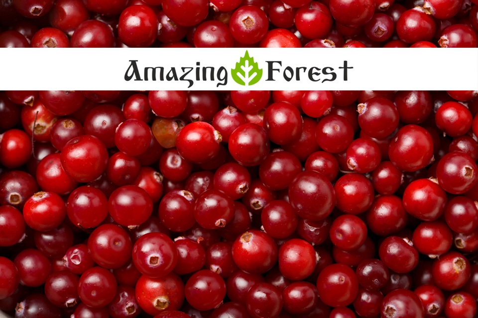 Organic Cranberries Ekowarehouse