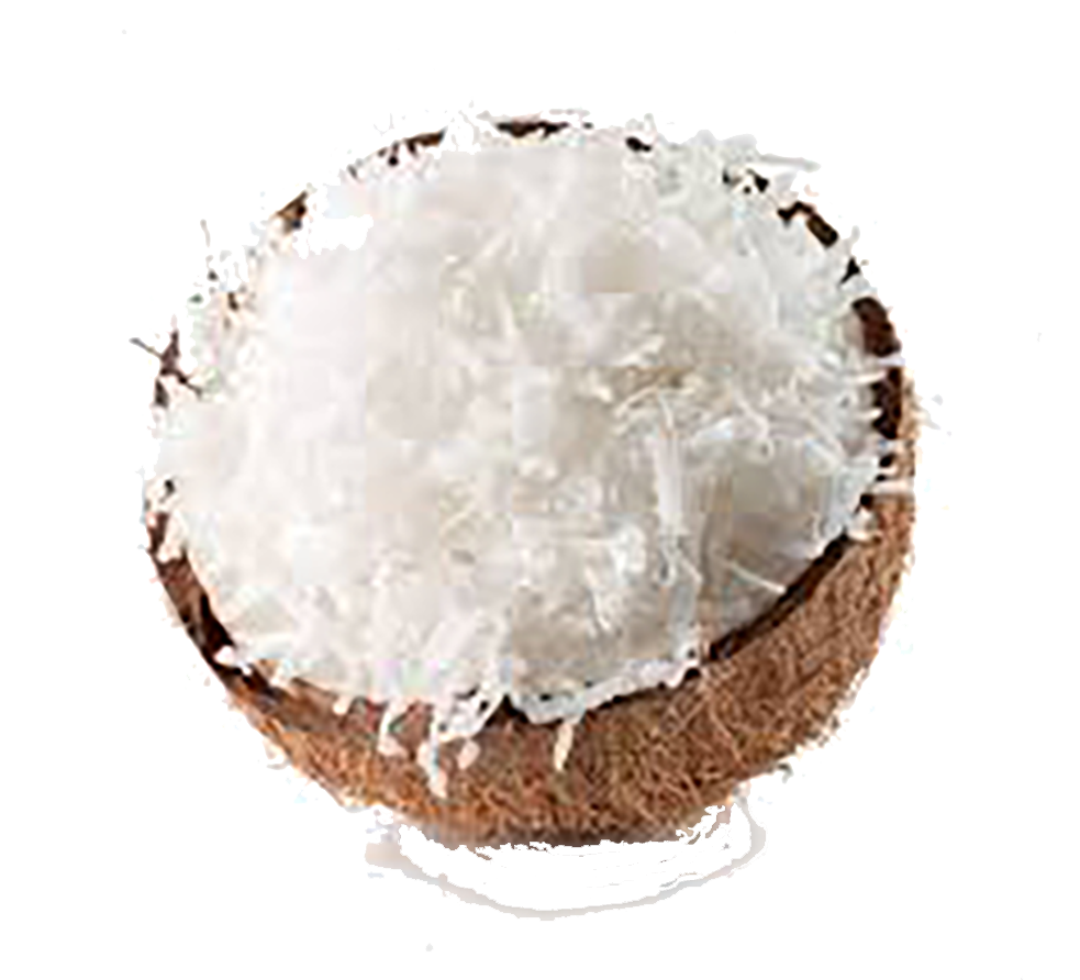 Organic Premium Coconut Flakes in Bulk Ekowarehouse