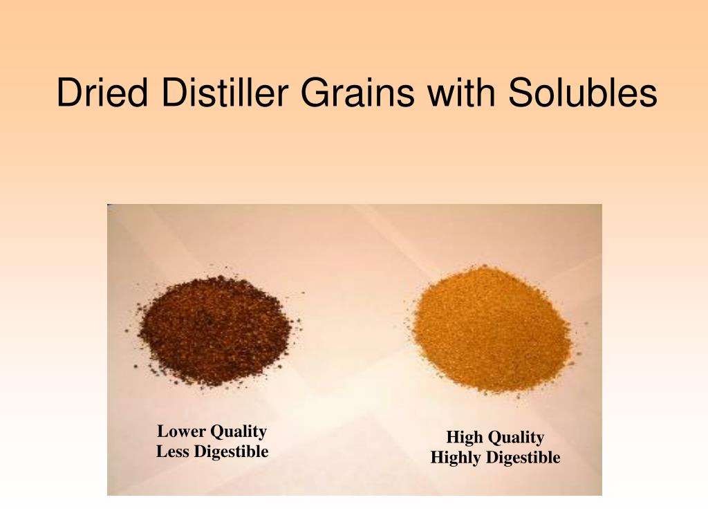 Organic DDGS (Dried Distiller Grains Solubles) 30 Protein 390/MT