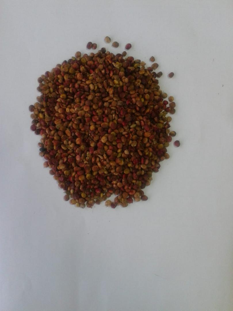organic sumac Ekowarehouse