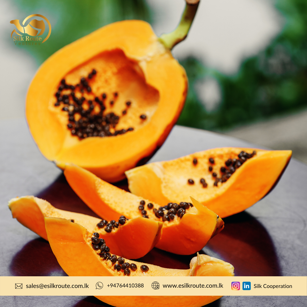 Organic Papaya Seed Powder Ekowarehouse