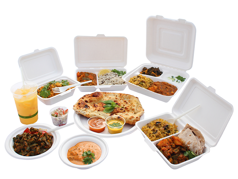 Bagasse tableware Ekowarehouse