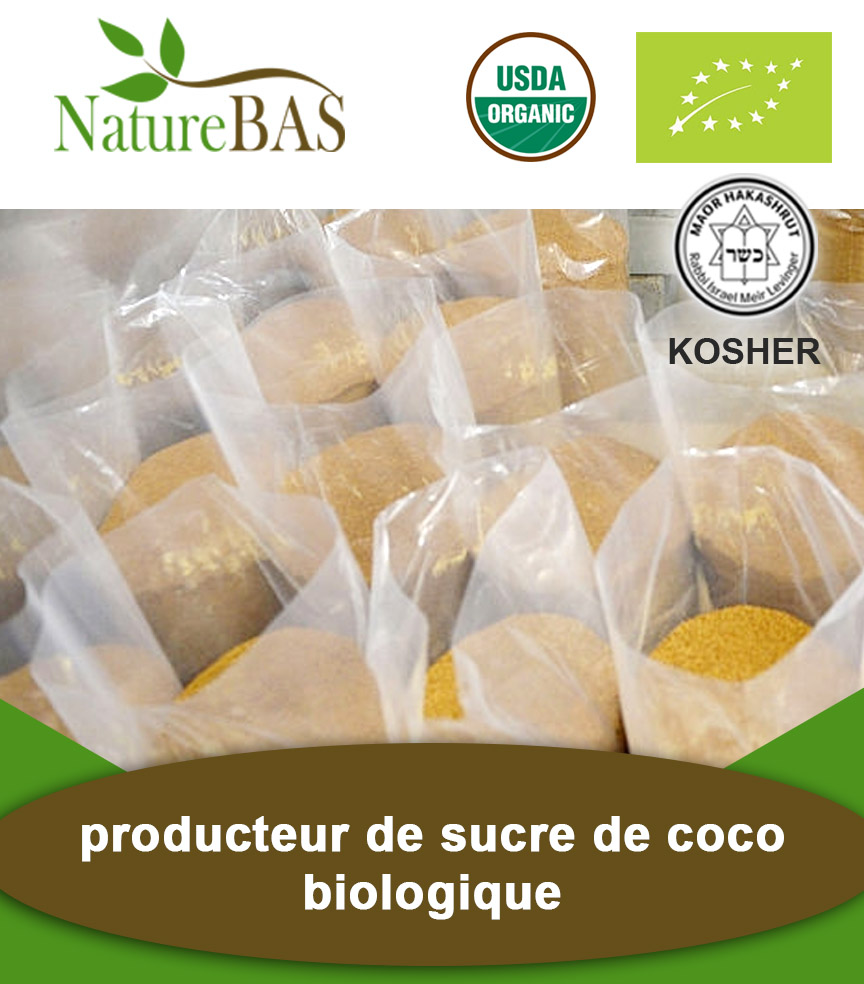 Sucre De Noix De Coco Origine _ Tout savoir sur le sucre de coco – UBBK