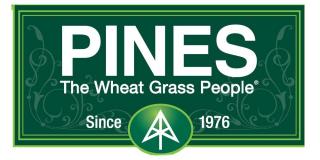 Pines International logo