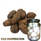 Organic Potato Innala