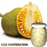 Organic Jackfruit In Brine