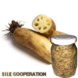 Organic Lotus Blossom Root In Brine