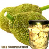 Organic Young Jackfruit In Brine (with/out cook)