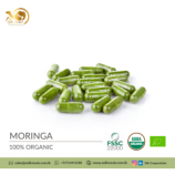 Organic Moringa Capsules in Bulk and Private Label