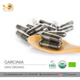 Organic Garcinia Capsules in Bulk and Private Label