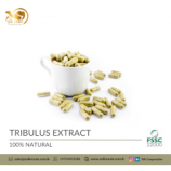 Organic Tribulus Extract Capsules in Bulk and Private Label